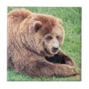 Search for cuddly tiles Bear