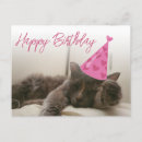 Search for cute kitty image cards Kitten