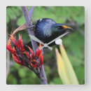 Search for nz art Nature