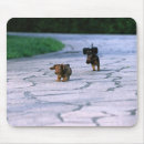 Search for activities mousepads Outdoors