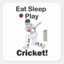 Search for stumped stickers Cricket lover