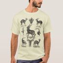 Search for antelope mens tshirts Springbok