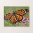 Search for monarch butterfly puzzles Garden