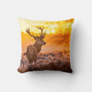 Search for red deer cushions Woods
