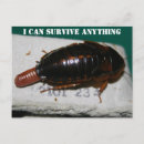 Search for survive postcards Covid