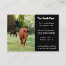 Search for stallion business cards Gelding