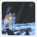 Search for grey wolf stickers Wildlife