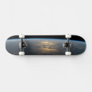 Search for sunlight skateboards Natural world