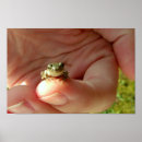Search for tadpole posters Toad