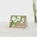 Search for gerber daisies cards Garden