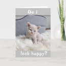 Search for sorry i forgot your birthday cards Kitten