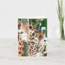 Search for giraffe note cards Animal