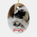 Search for naughty or nice christmas tree decorations Dog