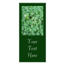 Search for celebration rack cards Nature