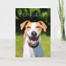 Search for wildlife photography cards Cute