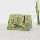 Search for whistling cards Duck