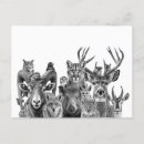 Search for desert animals postcards Southwest