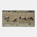 Search for elks electronics Colorado