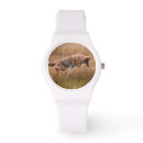Search for focus watches One animal