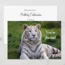 Search for white tiger birthday invitations Animal