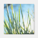 Search for blading magnets Grass