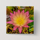 Search for blume Lotus