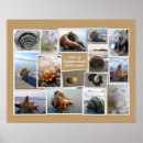 Search for sc posters Ocean
