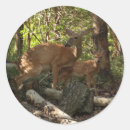 Search for shenandoah national park stickers Nature