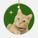 Search for tabby christmas tree decorations Cute