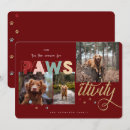 Search for paw print christmas cards Dog lovers