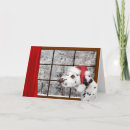 Search for dalmatian christmas cards Snow