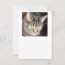 Search for vets invitations Pets