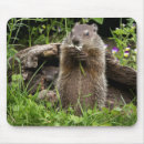 Search for woodchuck mousepads Rodent