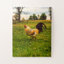 Search for rooster puzzles Nature