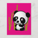Search for white bear postcards Panda