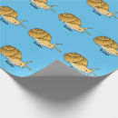 Search for snail wrapping paper Cartoon