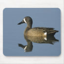 Search for southern mousepads Texas