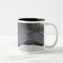 Search for snow hill mugs Cold temperature