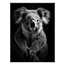 Search for adorable koala posters Marsupial