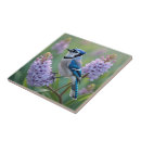 Search for lilac tiles Nature