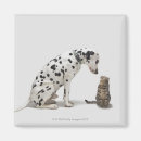 Search for confrontational magnets Friendship