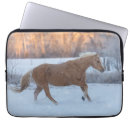 Search for quarter horses electronics Winter