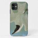 Search for gull iphone cases 1827