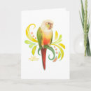 Search for cheek cards Green cheeked conure