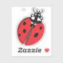Search for lady beetle stickers Insect