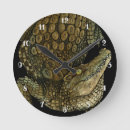 Search for crocs posters clocks Wildlife