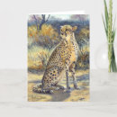 Search for cheetahs cards Animal
