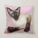 Search for siamese cat cushions Pink