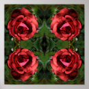 Search for rose red art Nature