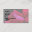 Search for raindrop business cards Photography
